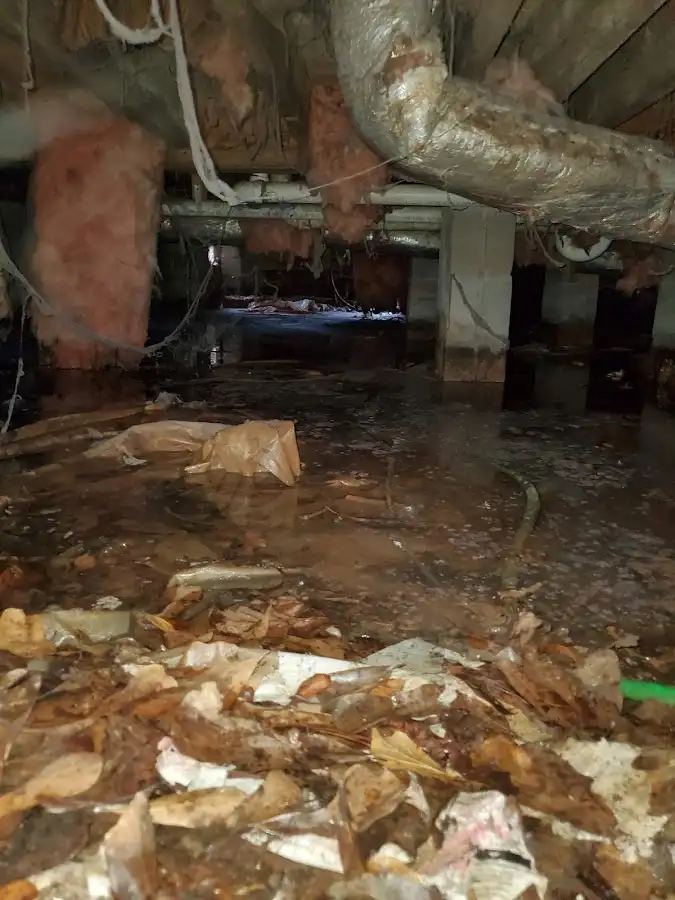 Crawl space flood assessment for Leak Detection & Repair in Mokena