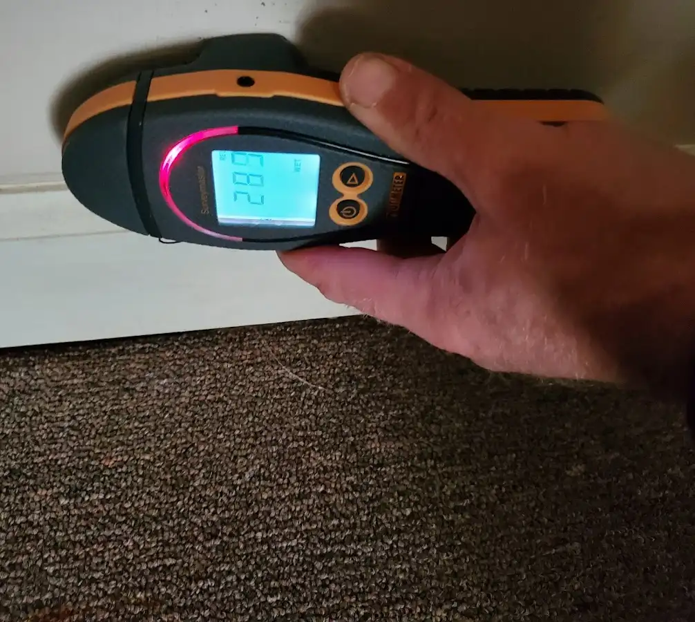 Moisture detection at baseboard during Mold Inspection & Testing in Mokena